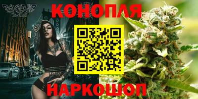 Альфа ПВП Краснознаменск