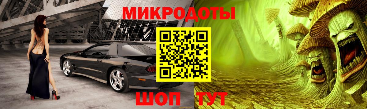 Галлюциногенные грибы Psilocybine cubensis Коломна